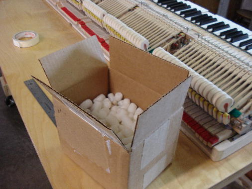 05 Samples packed in styrofoam 05 Samples packed in styrofoam